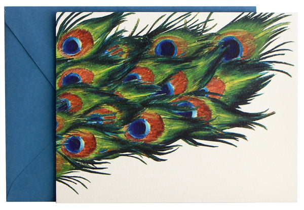 Fold Notes | Peacock