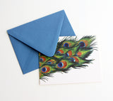 Fold Notes | Peacock