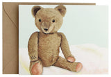 Fold Notes | Vintage Teddy Bear