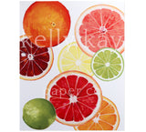 Art Print | Citrus Fruit