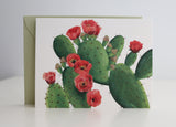 Stationery Gift Box | Cactus