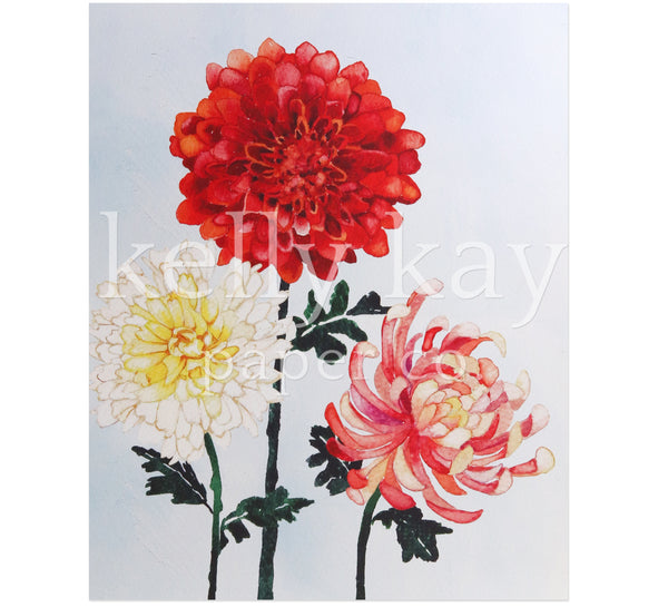 Art Print | Chrysanthemums