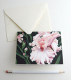 Stationery Gift Box | Pink Bearded Iris