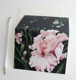 Fold Notes | Pink Iris