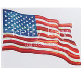 Art Print | United States Flag