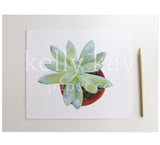 Art Print | Succulent Set/3