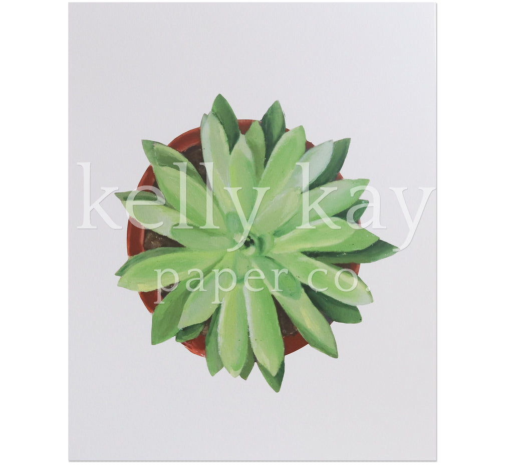 Art Print | Sunburst Succulent
